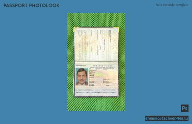 Beispielansicht eines Passfotos für Tansania